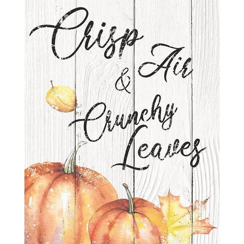 Crisp Air Black Modern Wood Framed Art Print with Double Matting by Brown, Victoria