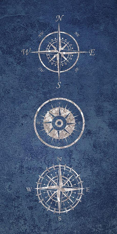 Lead The Coast 1 Black Ornate Wood Framed Art Print with Double Matting by Brown, Victoria