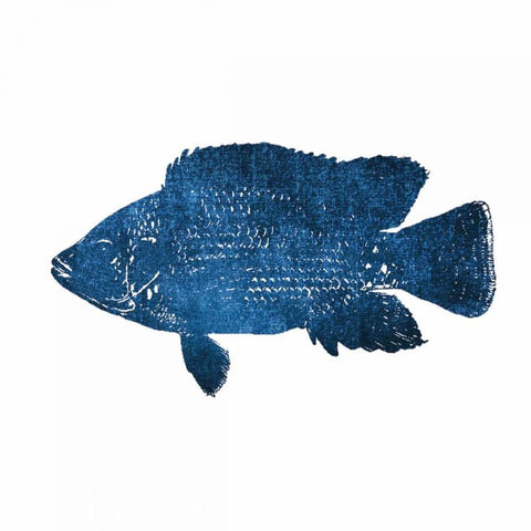 Navy Fish Black Modern Wood Framed Art Print with Double Matting by Brown, Victoria