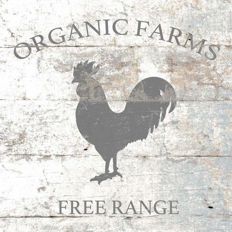 Organic Farm Black Modern Wood Framed Art Print with Double Matting by Brown,Victoria