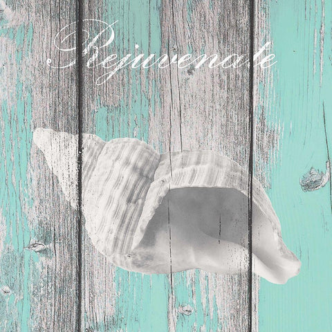 Coastal 6 Black Modern Wood Framed Art Print by Brown, Victoria