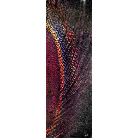 Fused Peacock 3 Black Modern Wood Framed Art Print with Double Matting by Brown, Victoria