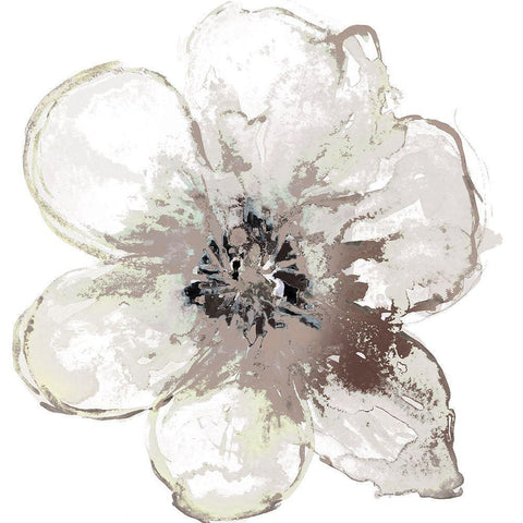 Floral-White Black Modern Wood Framed Art Print by Brown, Victoria