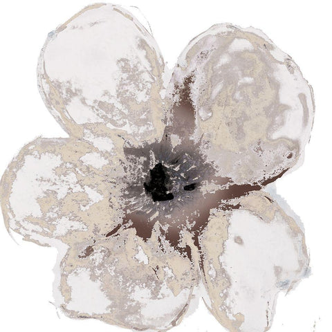 Floral-White 2 Black Ornate Wood Framed Art Print with Double Matting by Brown, Victoria