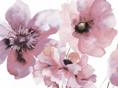 Flowering Pink Hues 1 White Modern Wood Framed Art Print with Double Matting by Brown,Victoria