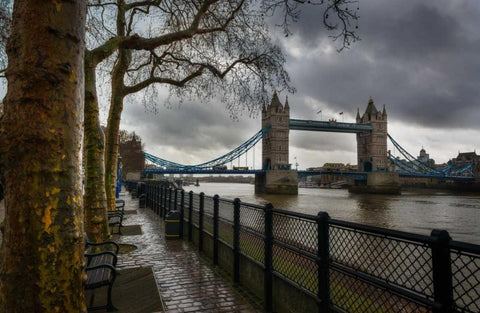 London Tower Bridge Black Ornate Wood Framed Art Print with Double Matting by Brown,Victoria