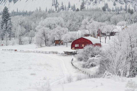 Farm In The Snow Black Ornate Wood Framed Art Print with Double Matting by Brown,Victoria