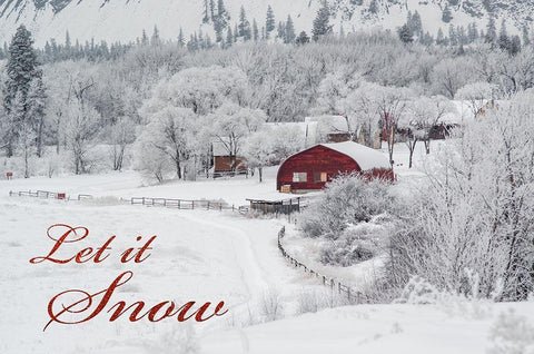 Farming Snow Fall 1 Black Ornate Wood Framed Art Print with Double Matting by Kostka, Vladimir