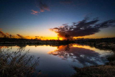 Butterfly View Black Ornate Wood Framed Art Print with Double Matting by Kostka, Vladimir