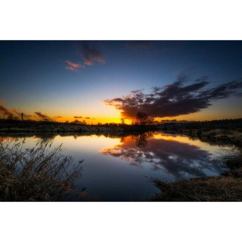 Butterfly View Black Modern Wood Framed Art Print by Kostka, Vladimir