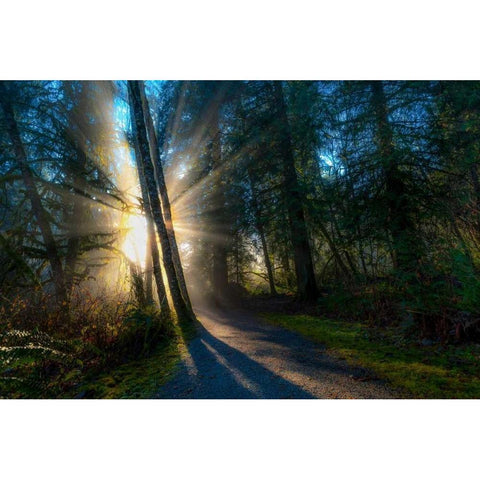 Light Rays Black Modern Wood Framed Art Print with Double Matting by Kostka, Vladimir