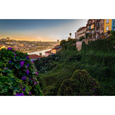 Portugal Porto Garden White Modern Wood Framed Art Print by Kostka, Vladimir