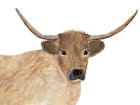 Steer Head 1 Black Ornate Wood Framed Art Print with Double Matting by Barski, Karen