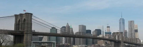 Hello New York Black Ornate Wood Framed Art Print with Double Matting by A.D. Lines