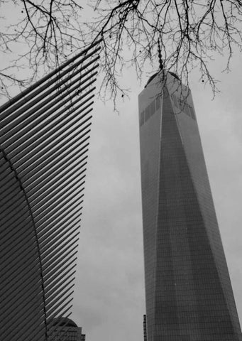 World Trade New York White Modern Wood Framed Art Print with Double Matting by A.D. Lines