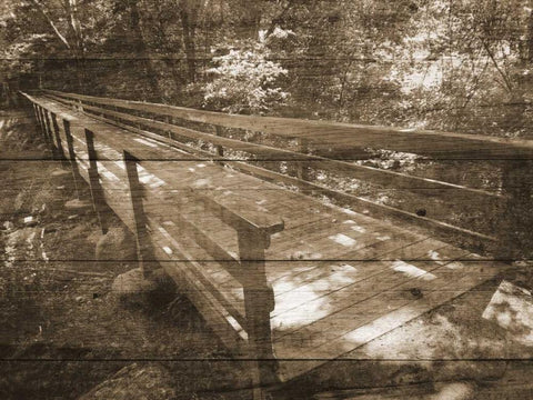 Eddys Bridge Memory White Modern Wood Framed Art Print with Double Matting by Unknown