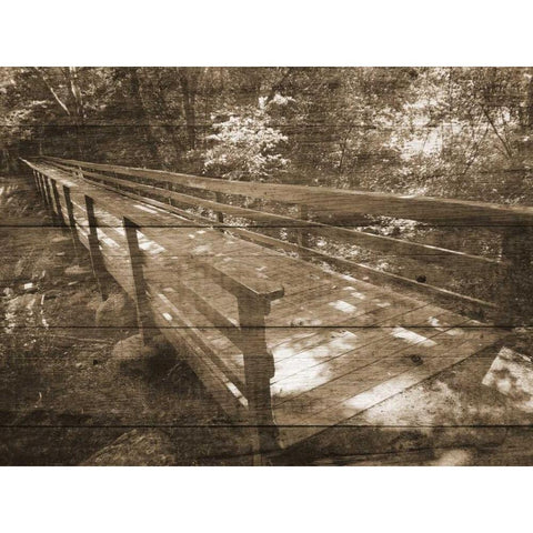 Eddys Bridge Memory Black Modern Wood Framed Art Print by Unknown