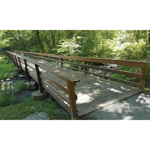 Eddys Bridge Black Modern Wood Framed Art Print by Anonymous