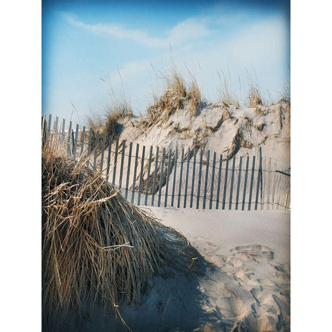Beach Grass and Fence A Gold Ornate Wood Framed Art Print with Double Matting by Foschino, Suzanne