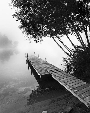 Foggy Dock BW 2 White Modern Wood Framed Art Print with Double Matting by Foschino, Suzanne