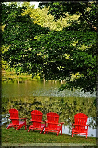 A Family Of Adirondak Chairs Black Ornate Wood Framed Art Print with Double Matting by Foschino, Suzanne