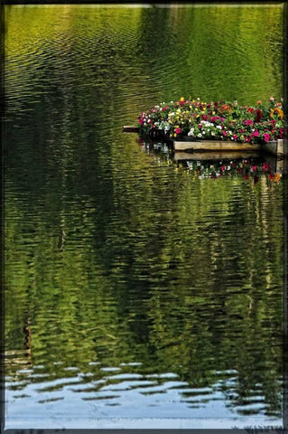 A Floating Garden White Modern Wood Framed Art Print with Double Matting by Foschino, Suzanne