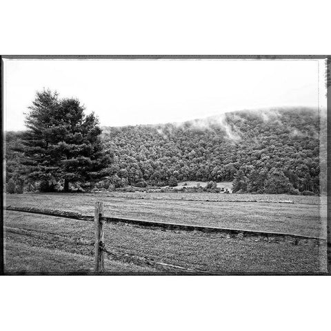 Morning Mountain Fog White Modern Wood Framed Art Print by Foschino, Suzanne