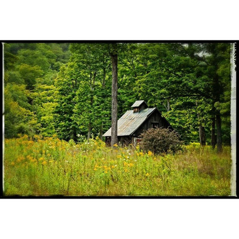 Country Barn 1 Gold Ornate Wood Framed Art Print with Double Matting by Foschino, Suzanne