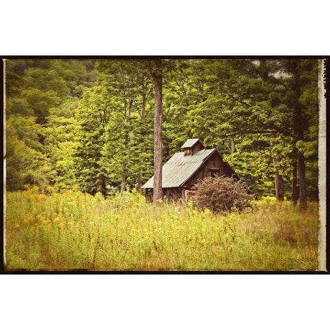 Country Barn 1 Vintage Gold Ornate Wood Framed Art Print with Double Matting by Foschino, Suzanne