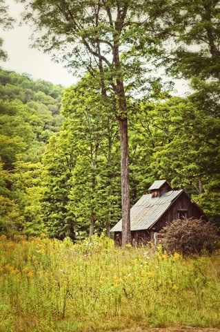 Country Barn 2 Vertical Vintage Black Ornate Wood Framed Art Print with Double Matting by Foschino, Suzanne