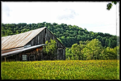 Country Barn 4 Black Ornate Wood Framed Art Print with Double Matting by Foschino, Suzanne