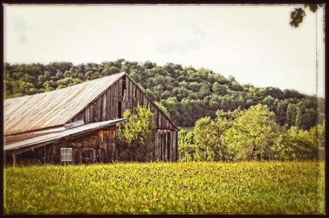 Country Barn 4 Vintage Black Ornate Wood Framed Art Print with Double Matting by Foschino, Suzanne