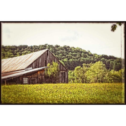 Country Barn 4 Vintage Gold Ornate Wood Framed Art Print with Double Matting by Foschino, Suzanne