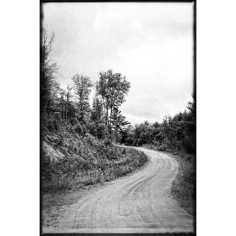 Country Winding Road Gold Ornate Wood Framed Art Print with Double Matting by Foschino, Suzanne