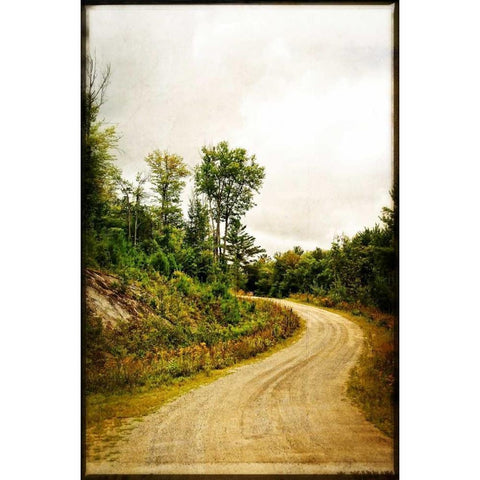 Winding Country Road White Modern Wood Framed Art Print by Foschino, Suzanne