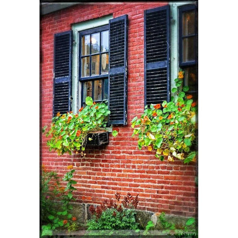 Country Store Window Flowers Black Modern Wood Framed Art Print by Foschino, Suzanne