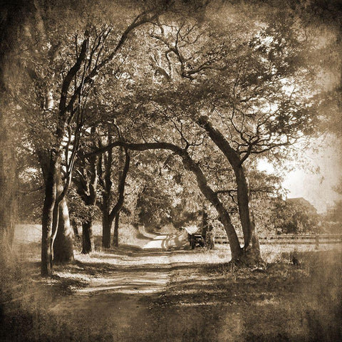 Dirt Road Black Modern Wood Framed Art Print with Double Matting by Foschino, Suzanne