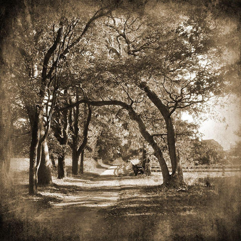 Dirt Road White Modern Wood Framed Art Print with Double Matting by Foschino, Suzanne