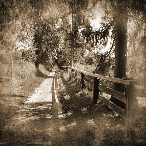 Dirt Road Black Modern Wood Framed Art Print by Foschino, Suzanne