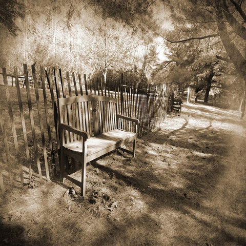 Park Bench White Modern Wood Framed Art Print with Double Matting by Foschino, Suzanne