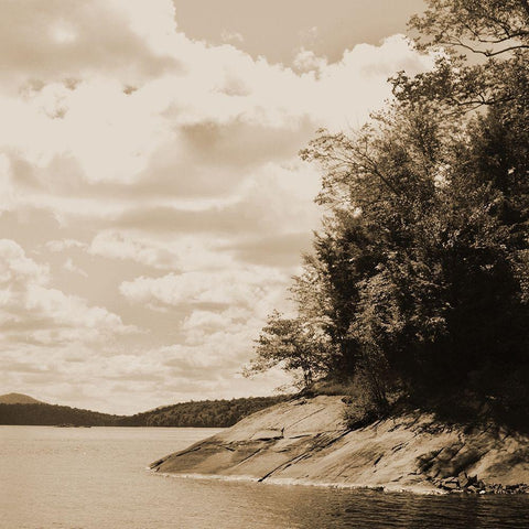 Sepia Lake 1 Black Ornate Wood Framed Art Print with Double Matting by Foschino, Suzanne