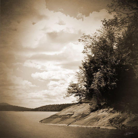 Image Only