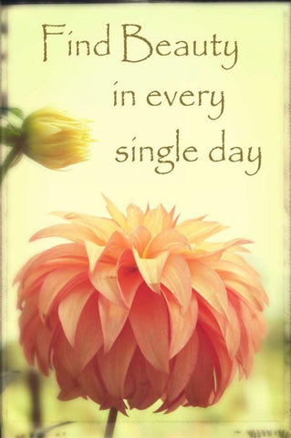 Orange Puff Dahlia Bud White Modern Wood Framed Art Print with Double Matting by Foschino, Suzanne