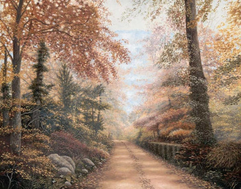 Road to Shepherd Black Ornate Wood Framed Art Print with Double Matting by Brown, Betsy