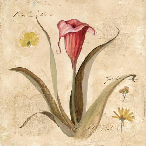 Red Calla Lily Gold Ornate Wood Framed Art Print with Double Matting by Robinson, Carol