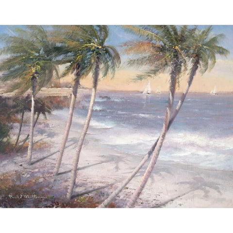 White Sand Beaches White Modern Wood Framed Art Print by Mathenia, Paul