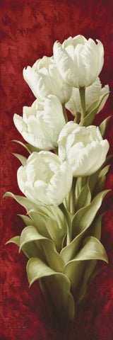 Magnificent Tulips II Black Ornate Wood Framed Art Print with Double Matting by Levashov, Igor