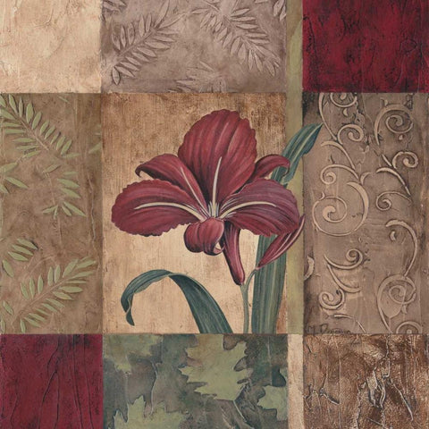 Jewel Tones II Black Modern Wood Framed Art Print by Donovan, Maria