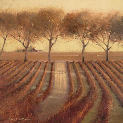 Vintage Sunlit Vineyard White Modern Wood Framed Art Print by Mathenia, Paul