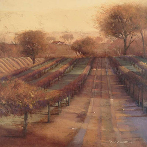 Vineyard Vista Black Modern Wood Framed Art Print by Mathenia, Paul